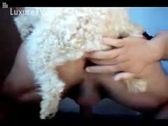 The little puppy finds it difficult to screw his father's tight butt opening.